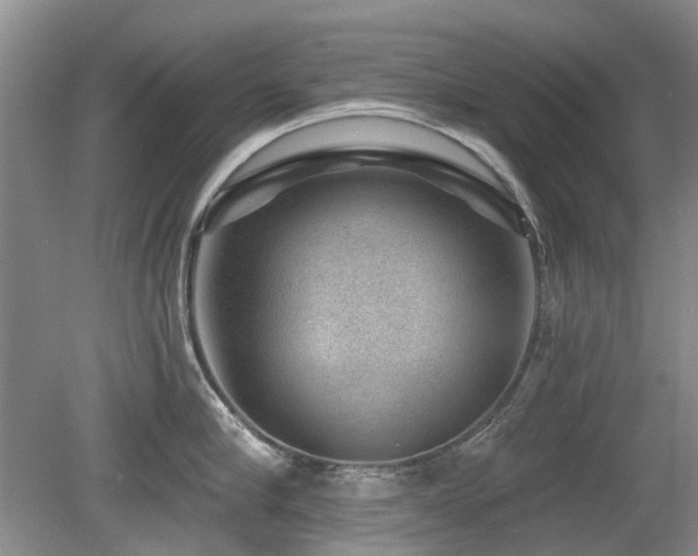 X0000080180910200612081358