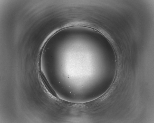 X0000080180912200612081358