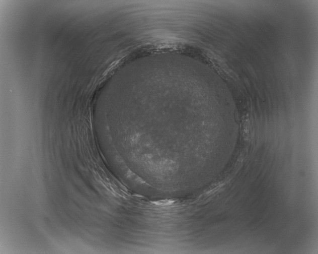 X0000080180916200612081357