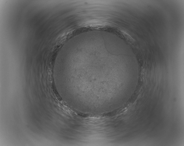 X0000080180917200612081357