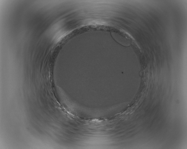 X0000080180919200612081357