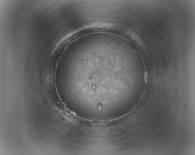 X0000080180920200612081357