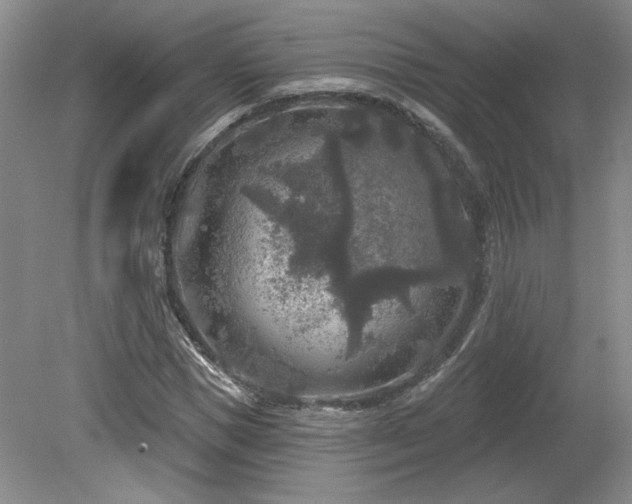 X0000080180921200612081357