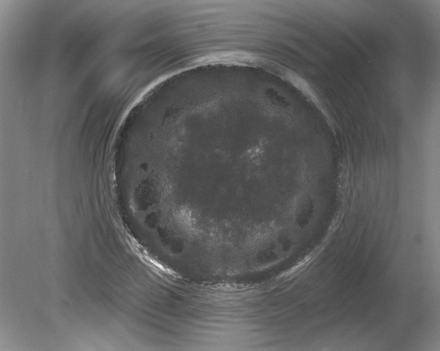 X0000080180923200612081357