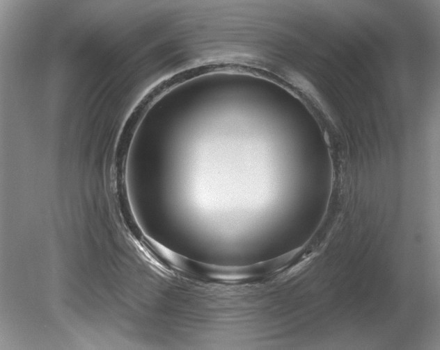 X0000080180924200612081357