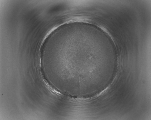 X0000080180925200612081357