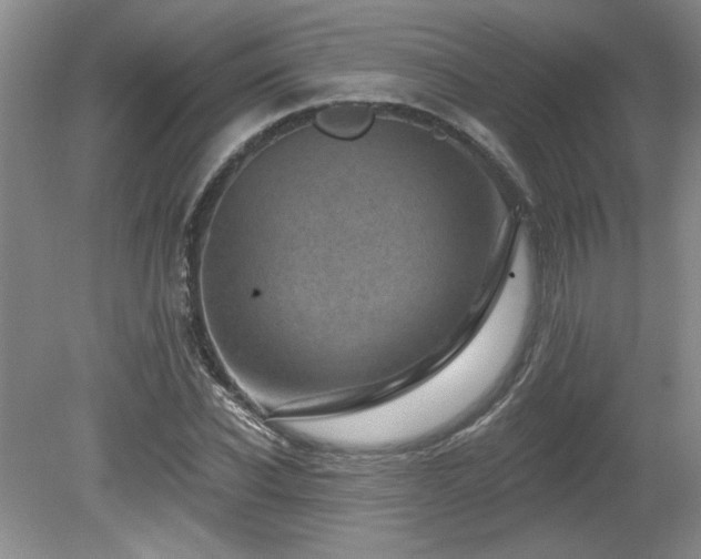 X0000080180926200612081357