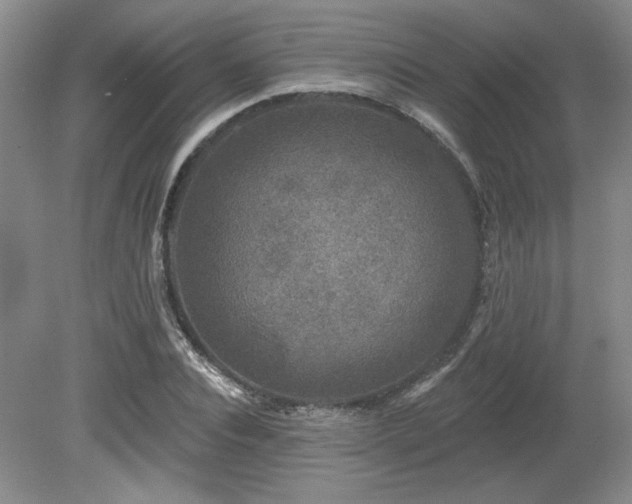 X0000080180928200612081357