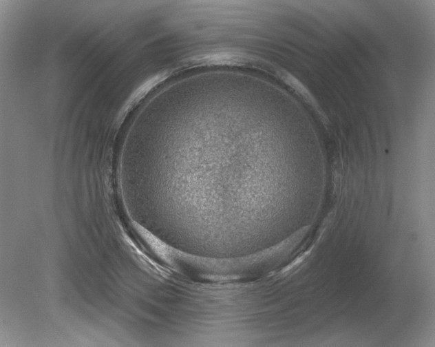 X0000080180930200612081357