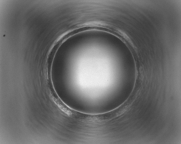 X0000080180931200612081357