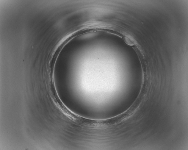 X0000080180933200612081357