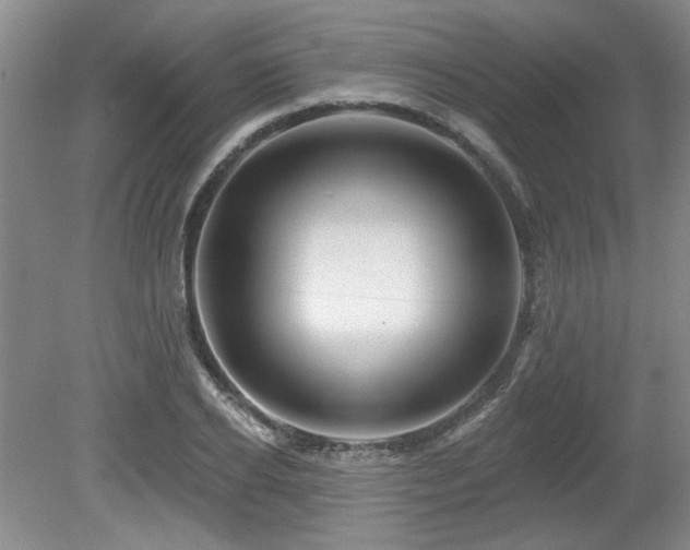 X0000080180934200612081357