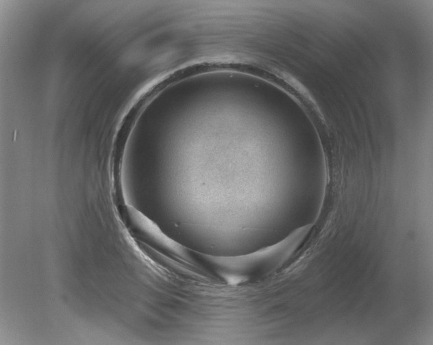 X0000080180935200612081357