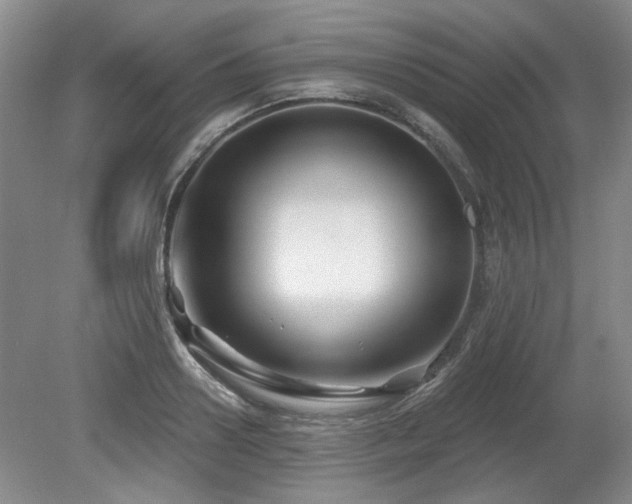 X0000080180938200612081357