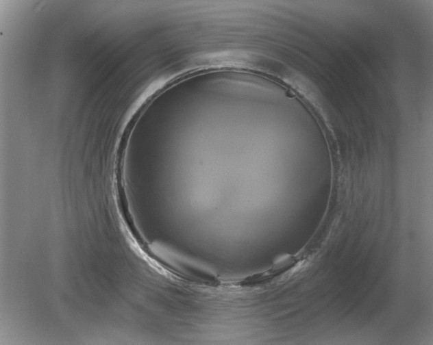 X0000080180941200612081357