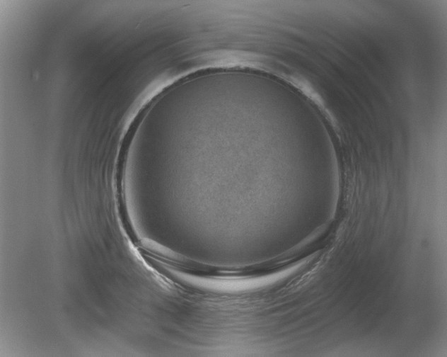 X0000080180943200612081357