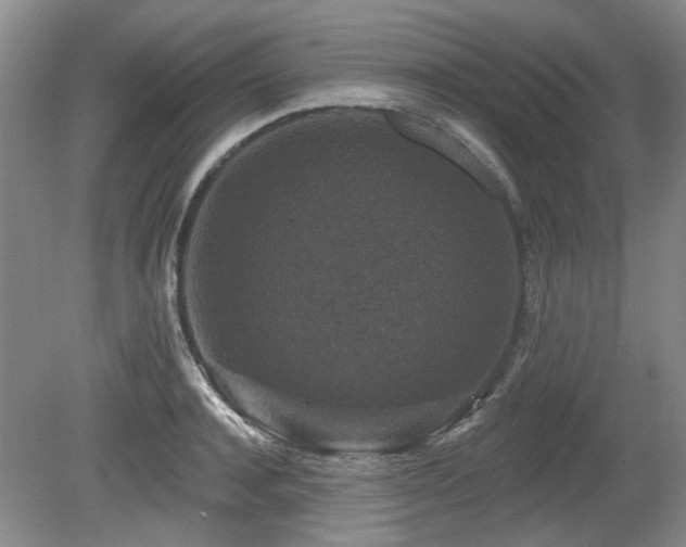 X0000080180944200612081357