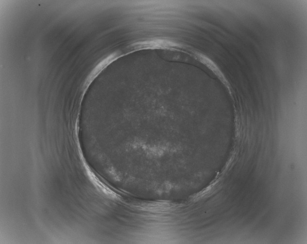 X0000080180946200612081357