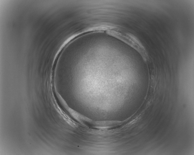 X0000080180948200612081357