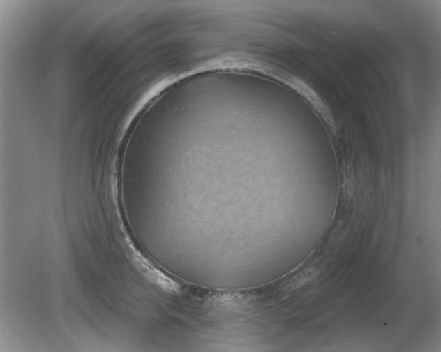 X0000080180950200612081357