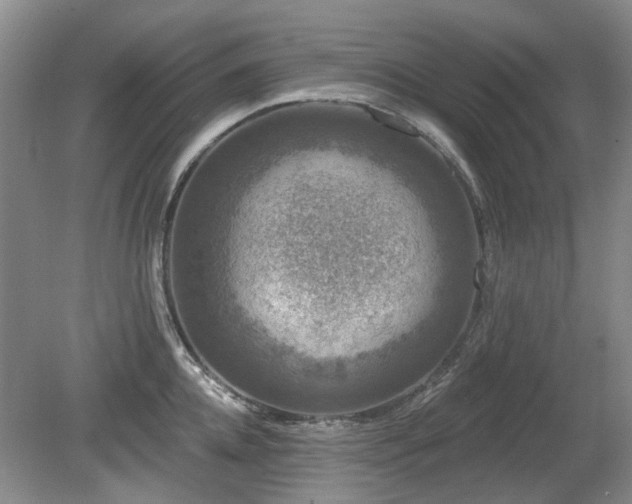 X0000080180952200612081358