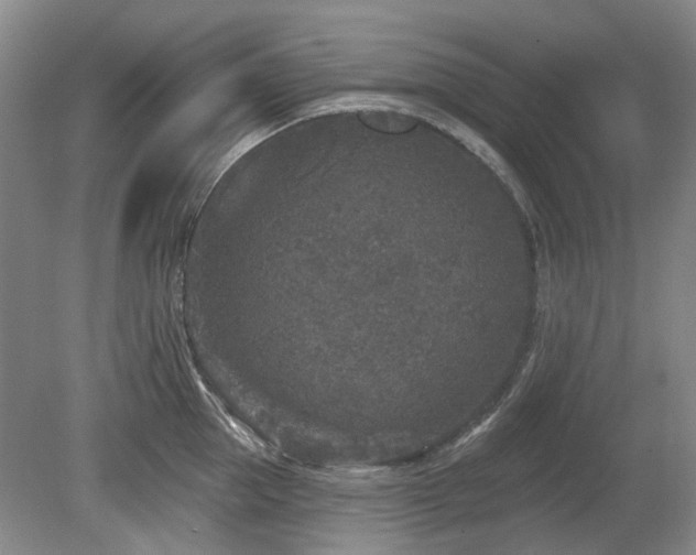 X0000080180953200612081358