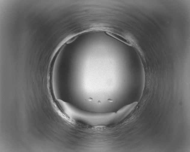 X0000080180955200612081358