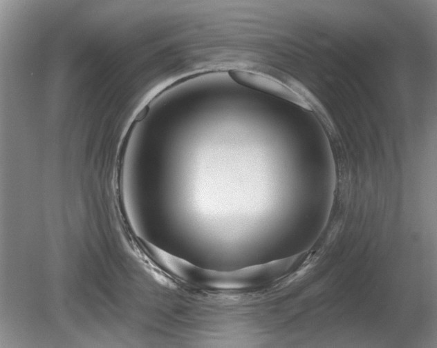 X0000080180956200612081358