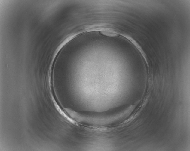 X0000080180957200612081358