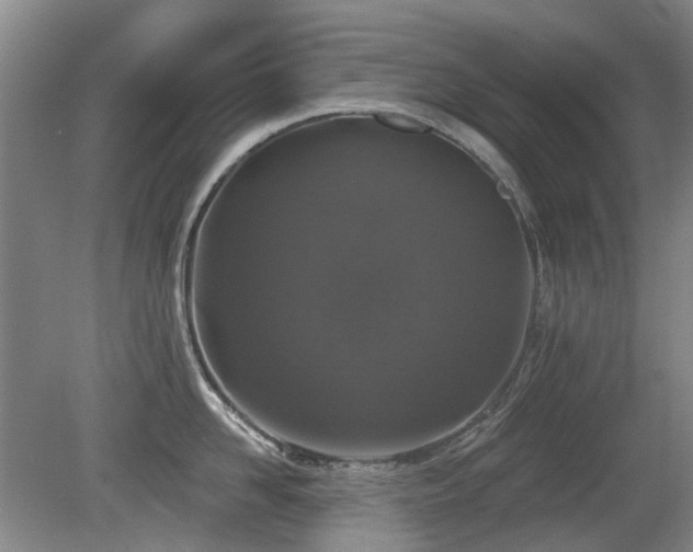 X0000080180958200612081358