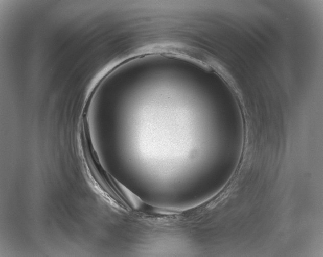 X0000080180960200612081358