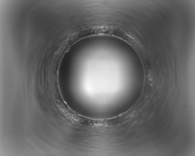 X0000080180961200612081357