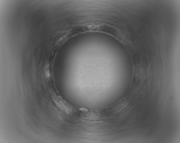 X0000080180962200612081357