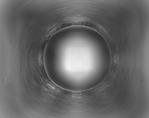 X0000080180964200612081357