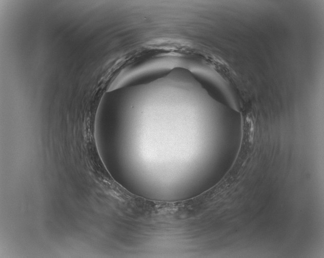 X0000080180965200612081357