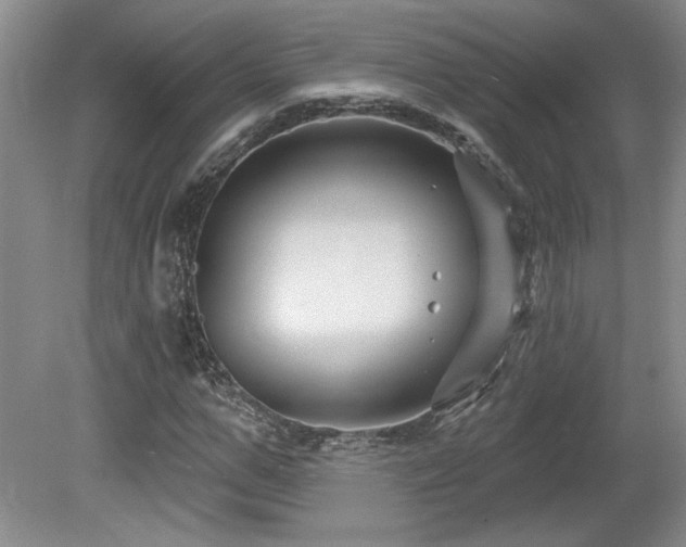 X0000080180967200612081357