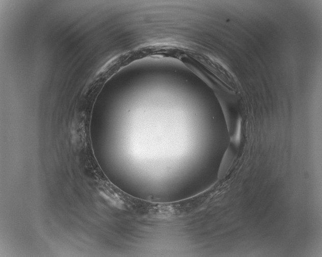 X0000080180968200612081357