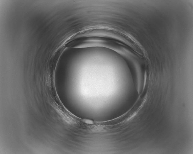 X0000080180969200612081357