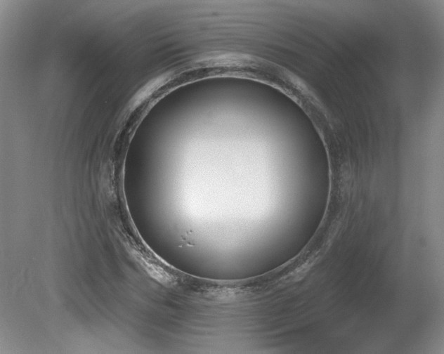 X0000080180970200612081357