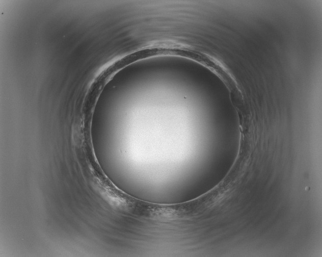 X0000080180971200612081357