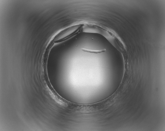 X0000080180972200612081357