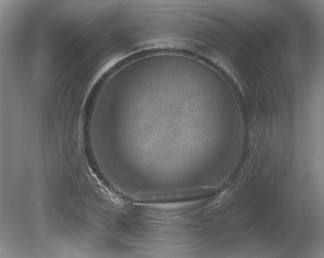 X0000080180975200612081357