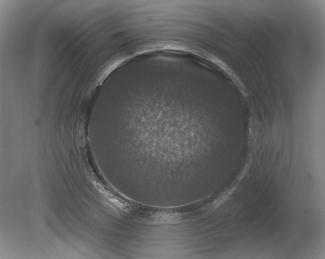 X0000080180977200612081357