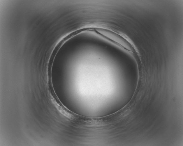 X0000080180980200612081357