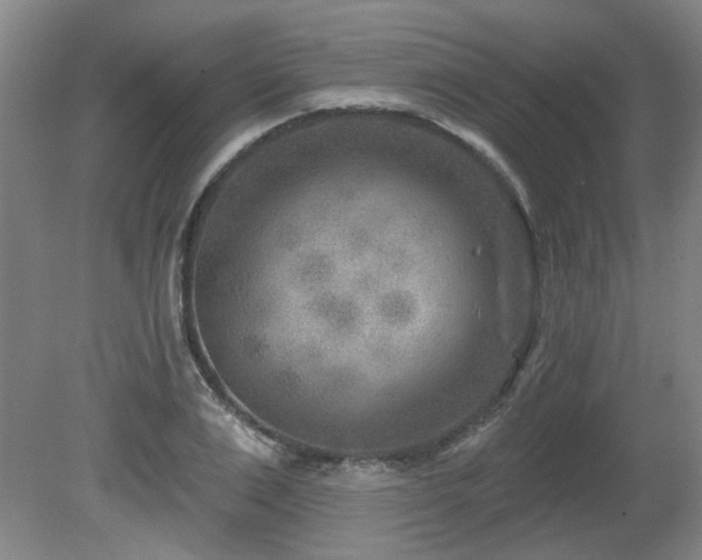 X0000080180983200612081356