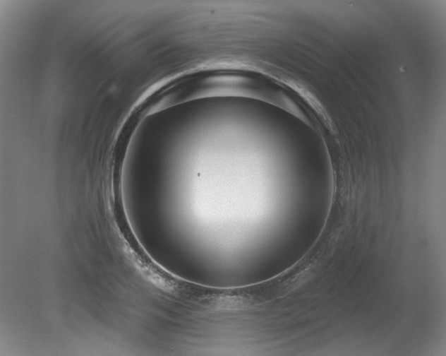 X0000080180984200612081356