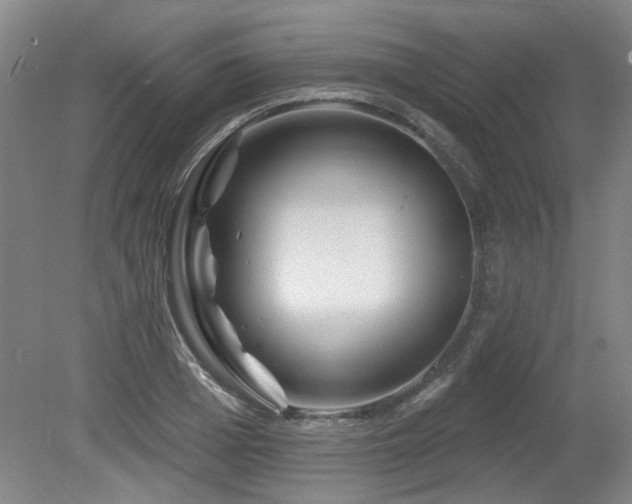 X0000080180985200612081356