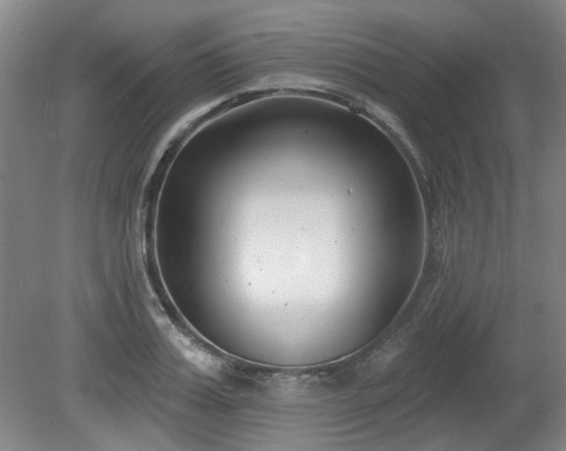 X0000080180987200612081356