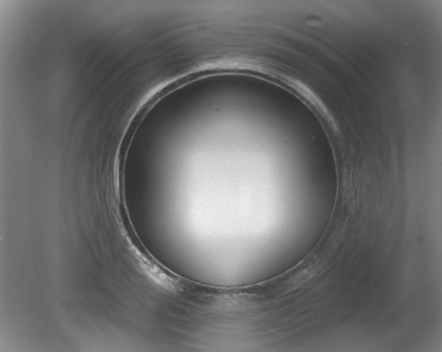 X0000080180988200612081356