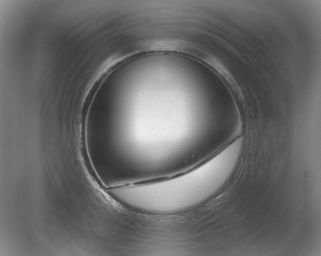 X0000080180992200612081356